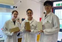 Company launches eco-bricks that ‘absorb carbon’